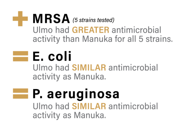 Honey - Raw Ulmo 43 - Image 7