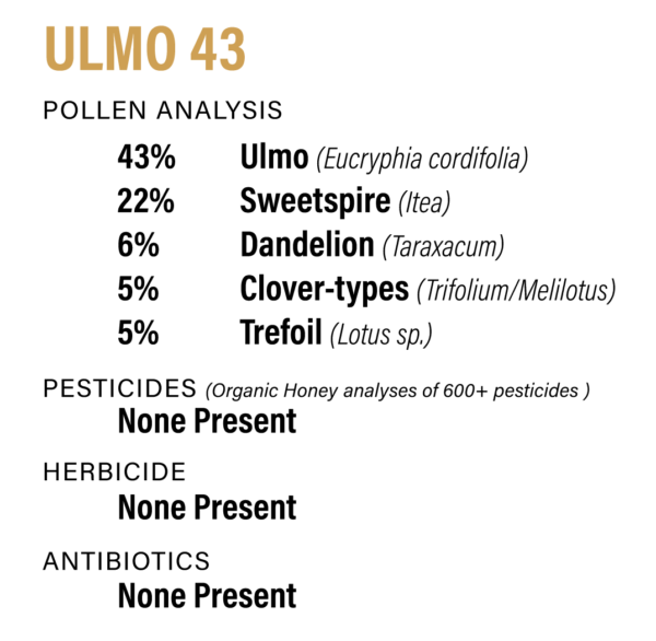 Honey - Raw Ulmo 43 - Image 6